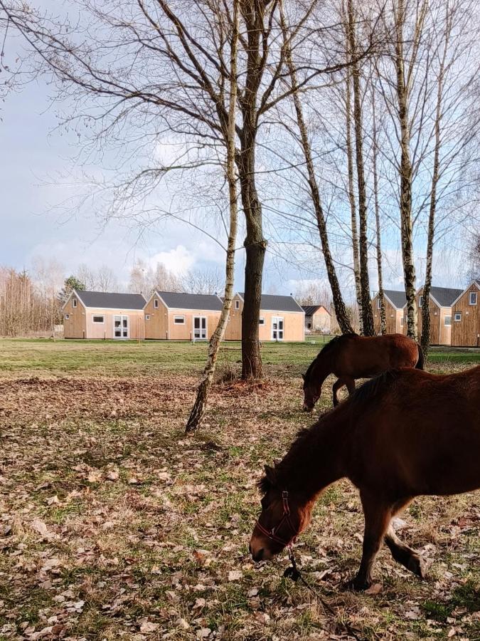Zagajnik Country Camp Obok Suntago Villa Grabce-Towarzystwo Bagian luar foto
